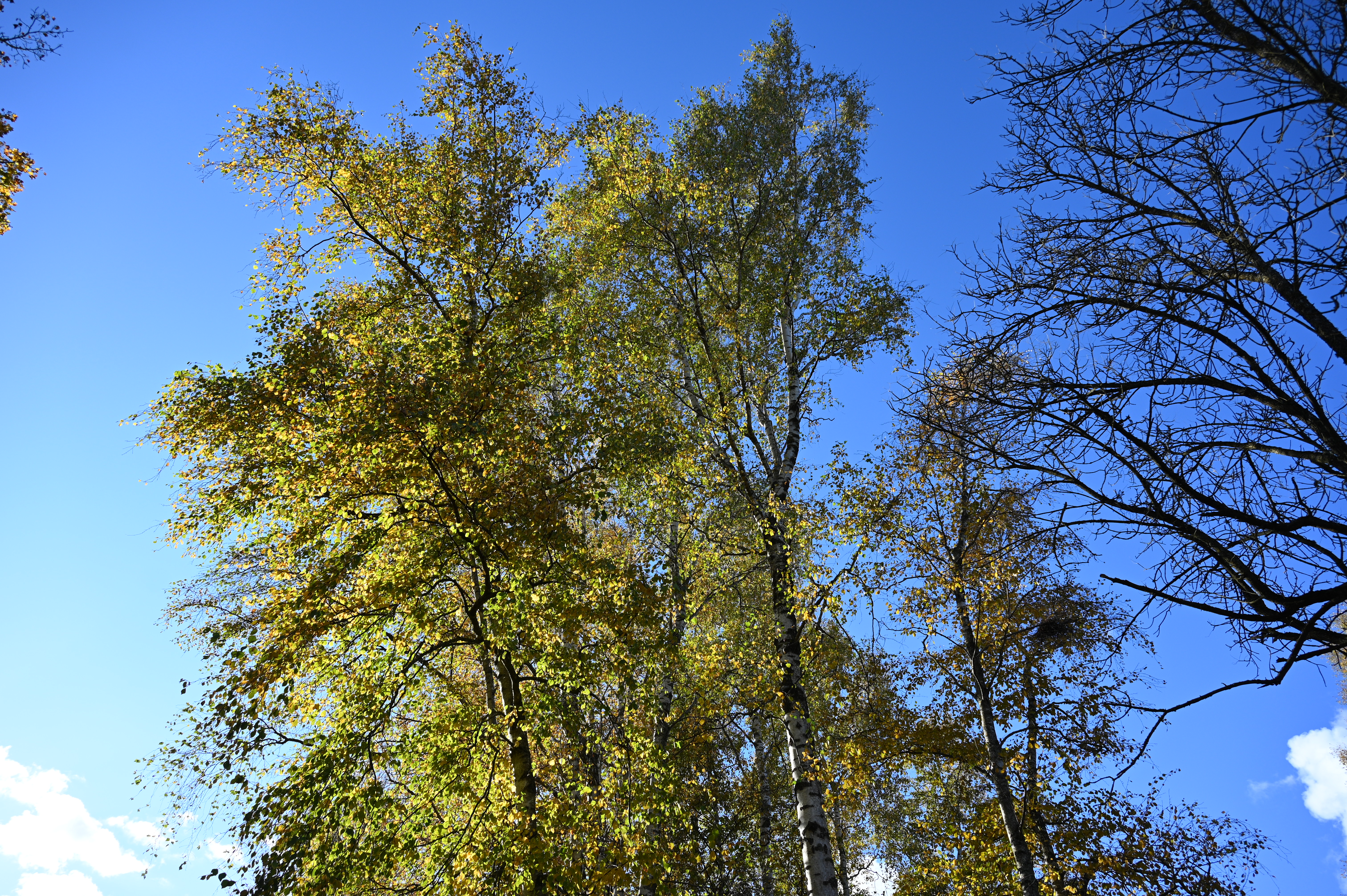 2025/10/18 - walk/DSC_0082.JPG